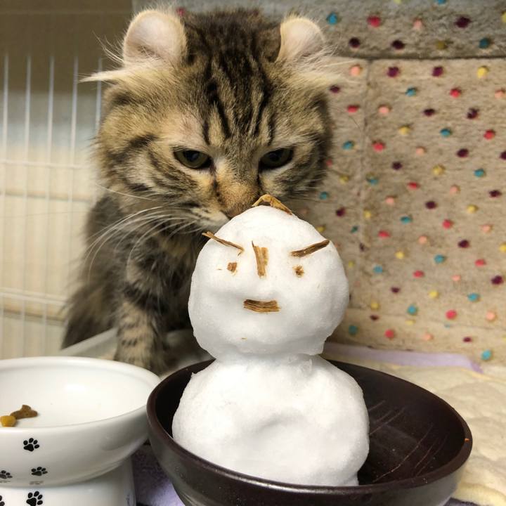 E5328672 9c1c 430b a631 1666ddd33aa5 1579223791190