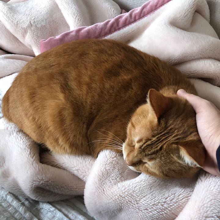 E5328f96 cf5f 490a 9640 8fff55a5c39f 1655072376000