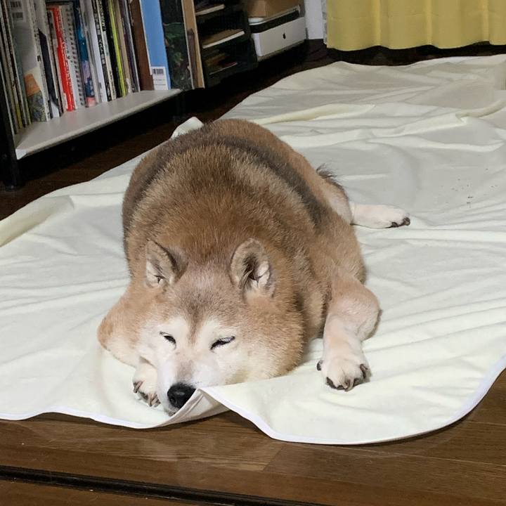 E532a015 85e5 49de 9f42 4c8adf26c9cc 1661777765228