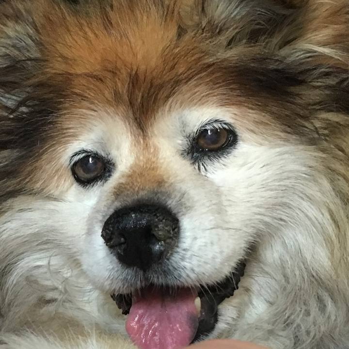 E532a78e 46b8 44e6 a8e5 42578df85995 1605677611210