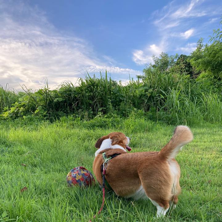 E532bbcc 2816 4f3b 89d7 ce0a5afee5e3 1752838902681