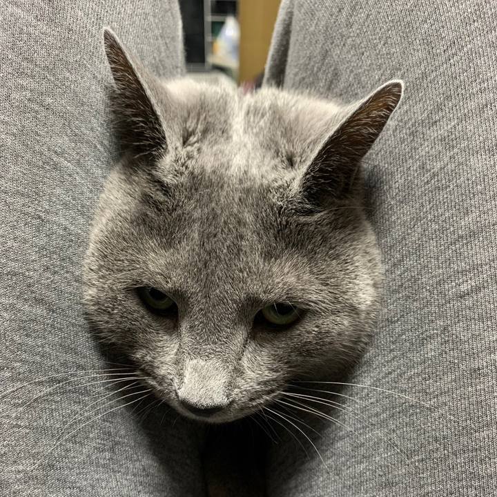 E532d0e5 e70f 4240 a84d 46691bb3f570 1647321912592