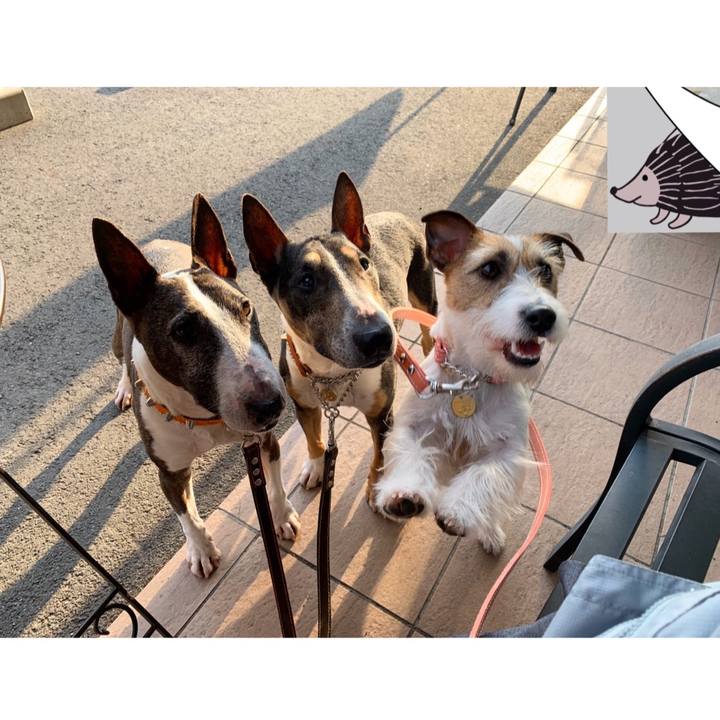 E532ea2d a018 4ba4 85ef 73727f386118 1587899810749