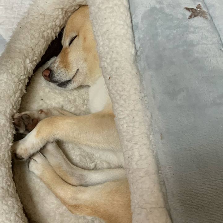 E532f67d d0c7 44e6 a314 bf267666472b 1618923791753