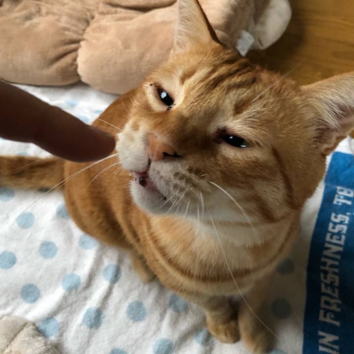 E5330816 2497 4822 a3bd 8309805573f4 1561665888077