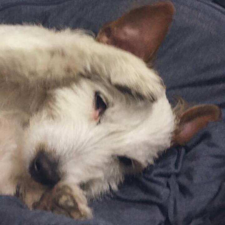 E533414d da51 4389 9b5c f7f3ae79d88a 1583942554972