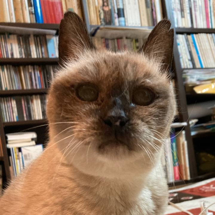 E5336c13 cda3 4356 ab57 7a192957e4dc 1669873604880