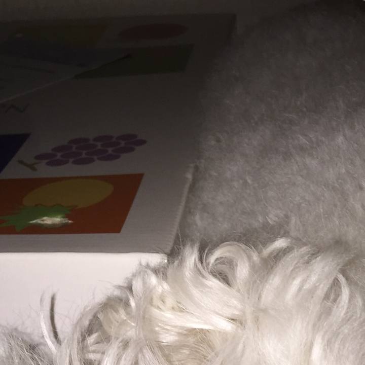 E5336c6b e9bb 4929 9e4f f5f234d1830a 1532870960578