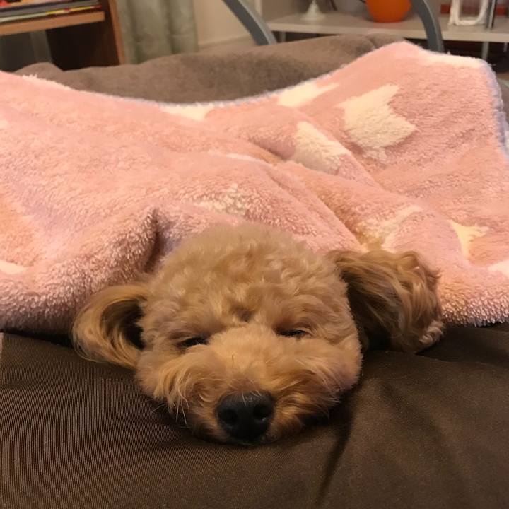 E533b6a2 12dd 4832 8809 1ccf899eab0c 1509885595151