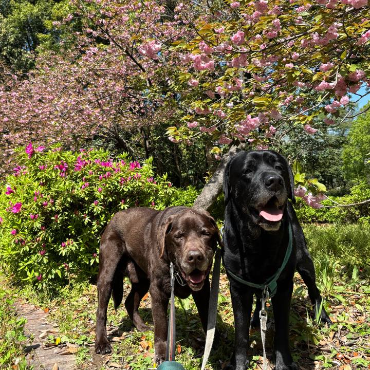 E533eda1 aca1 409c 84a3 23b3633d82b5 1776084691549