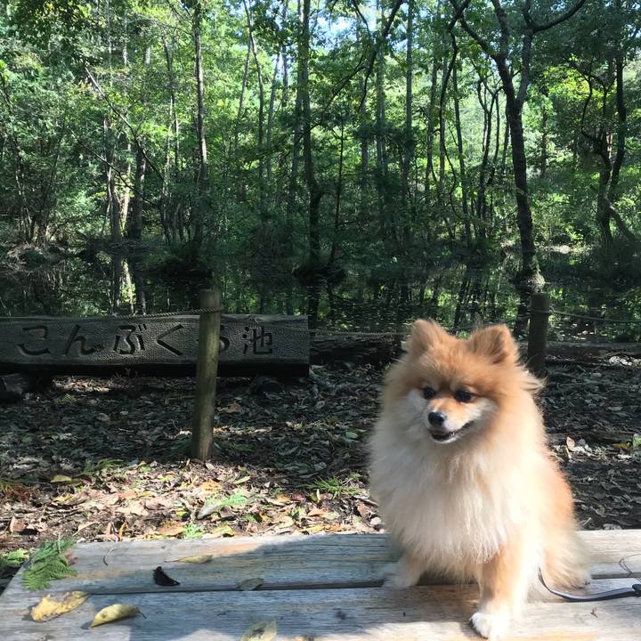 E5340884 ff78 44e4 b003 553c323f4671 1509085897030