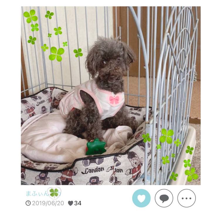 E5343249 7653 40a3 a1a3 c6c1bb1800d5 1718867276893