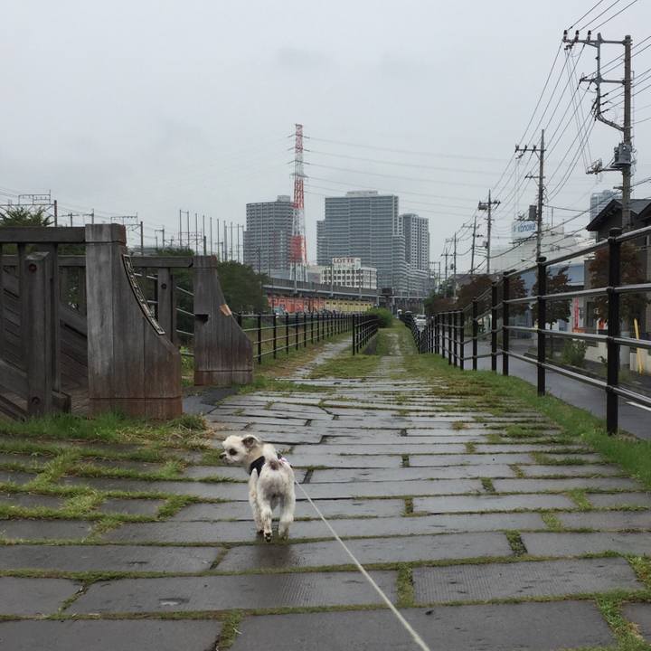 E534361d 2fc4 40f2 8cbc ba7799d3038e 1538207382785