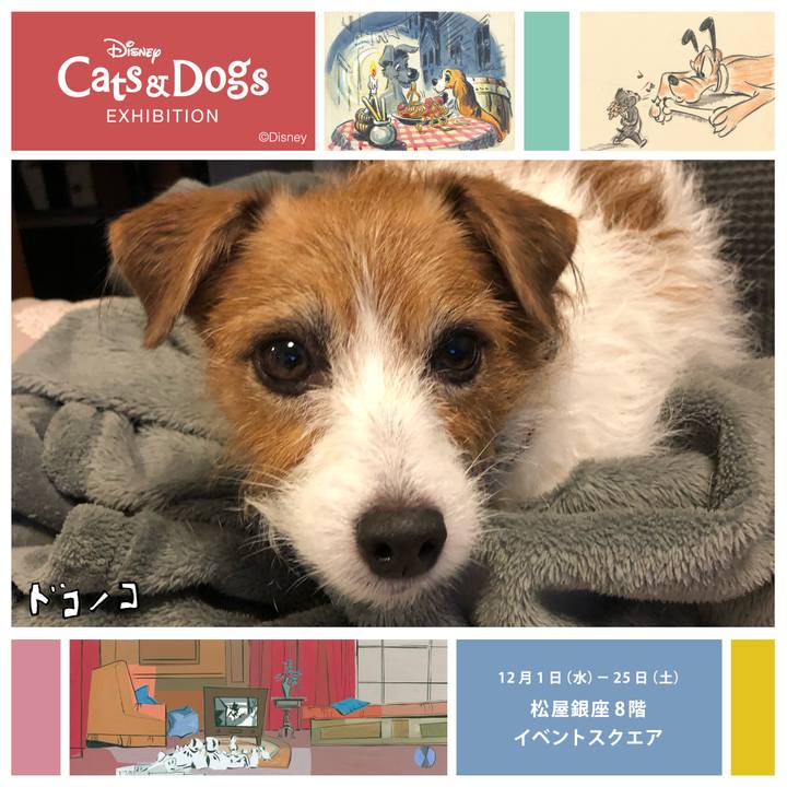 E5345296 0972 4380 b089 e4d5a75de717 1639276467132