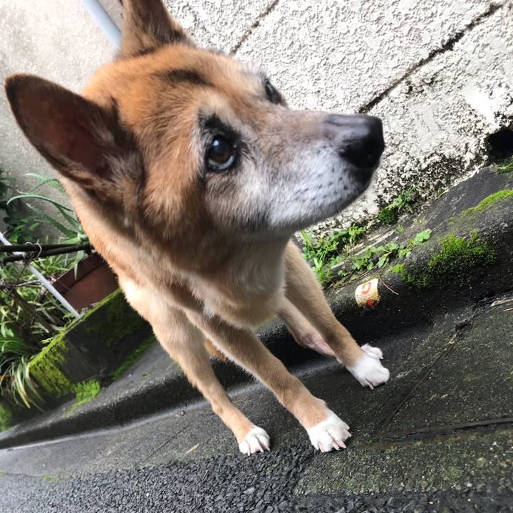 E5347afa e82e 41af 8769 03b133ebead2 1563488137834