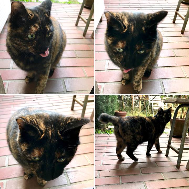 E534f346 8ee5 4bee 89b2 2d858e12bd1c 1511683206290