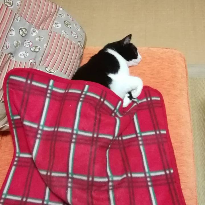 E5351b69 c1b4 4ca6 8239 0f72c7d24713 1569493375042