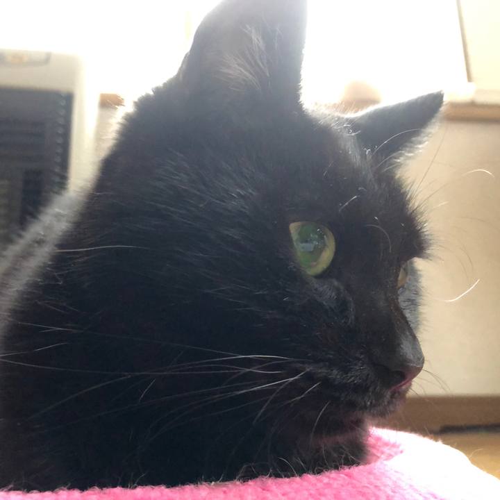 E53537f2 b4ae 4ee1 a674 bf93ca07f5d7 1570228502151