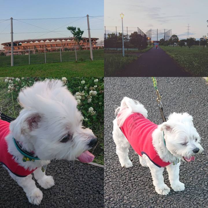 E53538c1 b594 48b5 b19f 6dcb9940ab0b 1590235912954