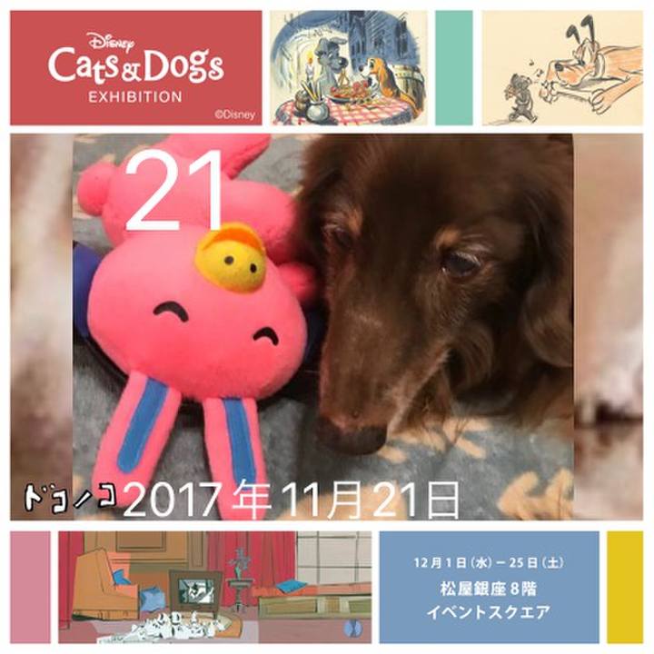 E53547a6 ba20 4f6f 96aa b6e29697b70f 1638569054599