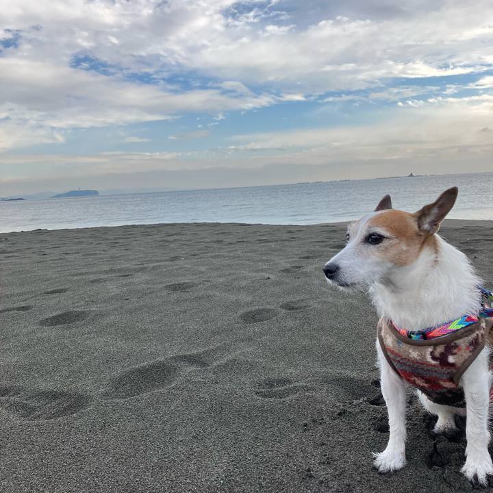 E5354bd4 0b38 467b 9e38 0d3047e70d0d 1670973465492