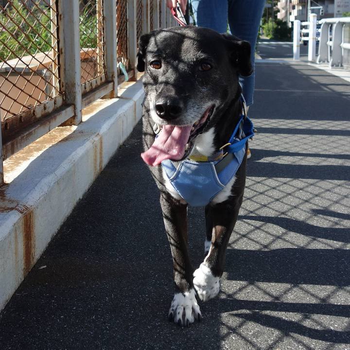 E535922f 2ecf 4f39 8c83 e3d2defd455b 1752882447309