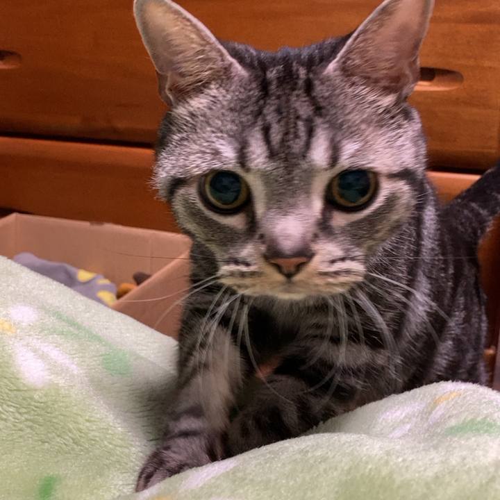 E5359570 0f87 4436 bbc6 e2a101b29f4b 1672261030038