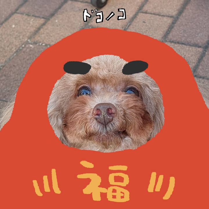 E535ab1f 81c4 4436 a52f f2890daa3e82 1771816390605