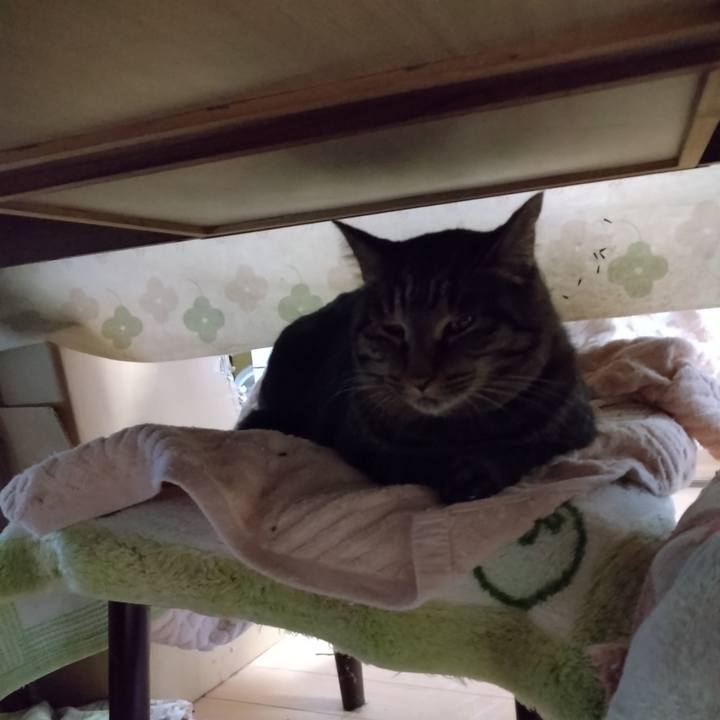 E536125e 83a2 43e4 b10f 05785967501d 1668119562730