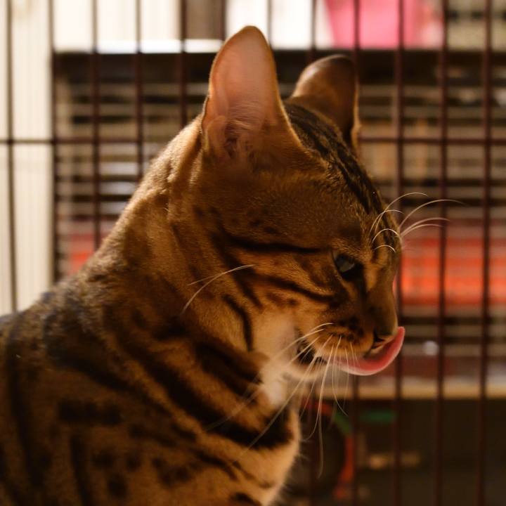 E5361ce3 1584 4332 813c 56d427c99cd0 1512137277044