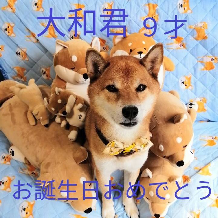 E536290b 46d0 460c a44d 882ed3341b8d 1599101133266