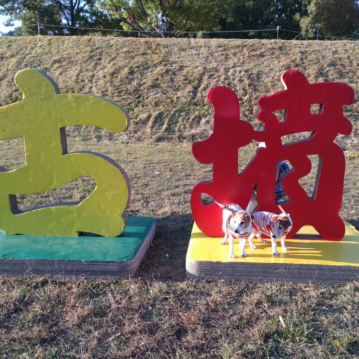 E5362f02 0f2f 4a0a a978 a5c84204fa47 1763883946055