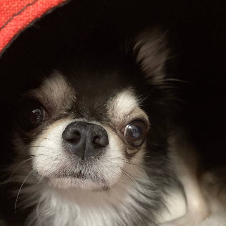 E5364254 914a 46f6 8d5d 961cf0095578 1702222437219