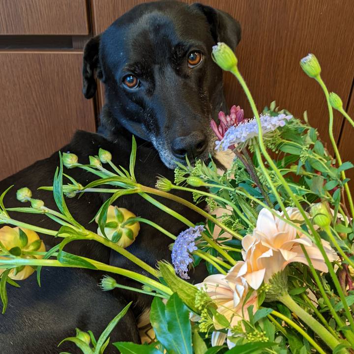 E5364d08 6c27 4344 9968 87396ffa7583 1678532948109