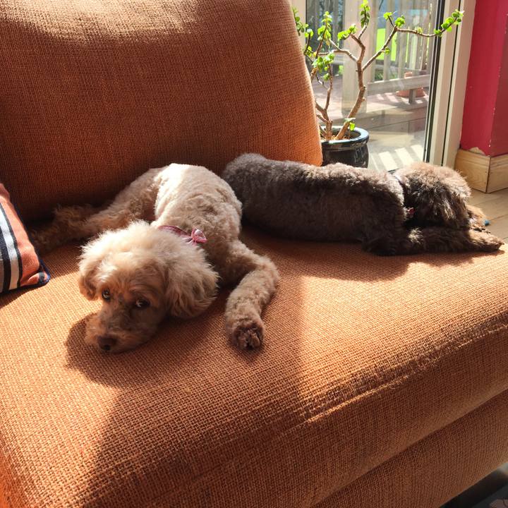 E5367c88 02f2 49eb ace6 da38d904da04 1568376959774