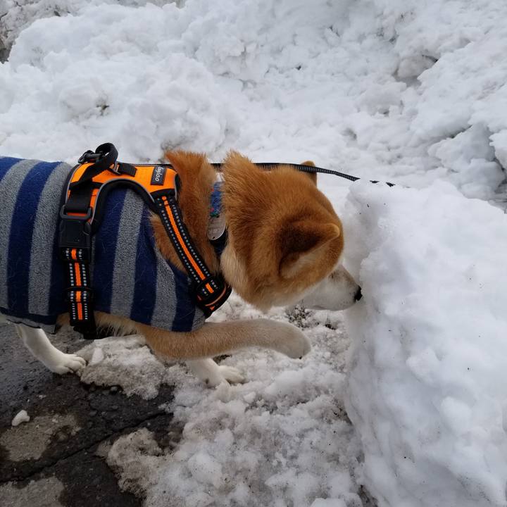 E5368305 7b21 4187 b94b a0728a17d1b8 1581481876436