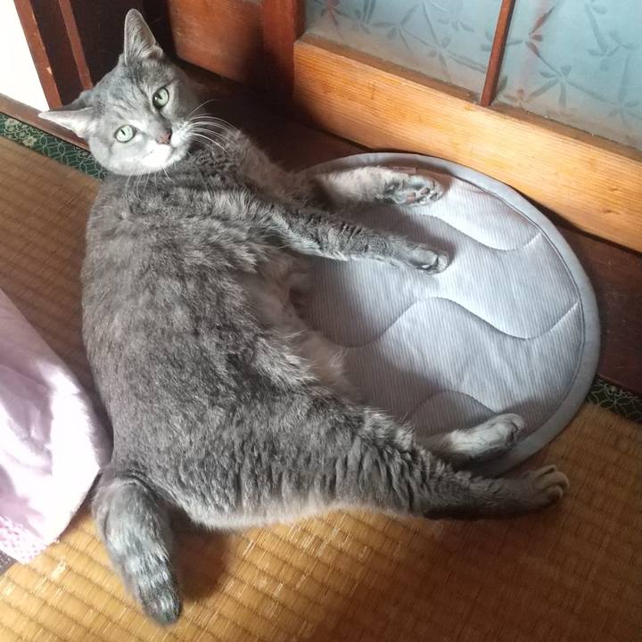 E53689a9 3e48 4fdf bca8 50f69db3ee85 1760594360600