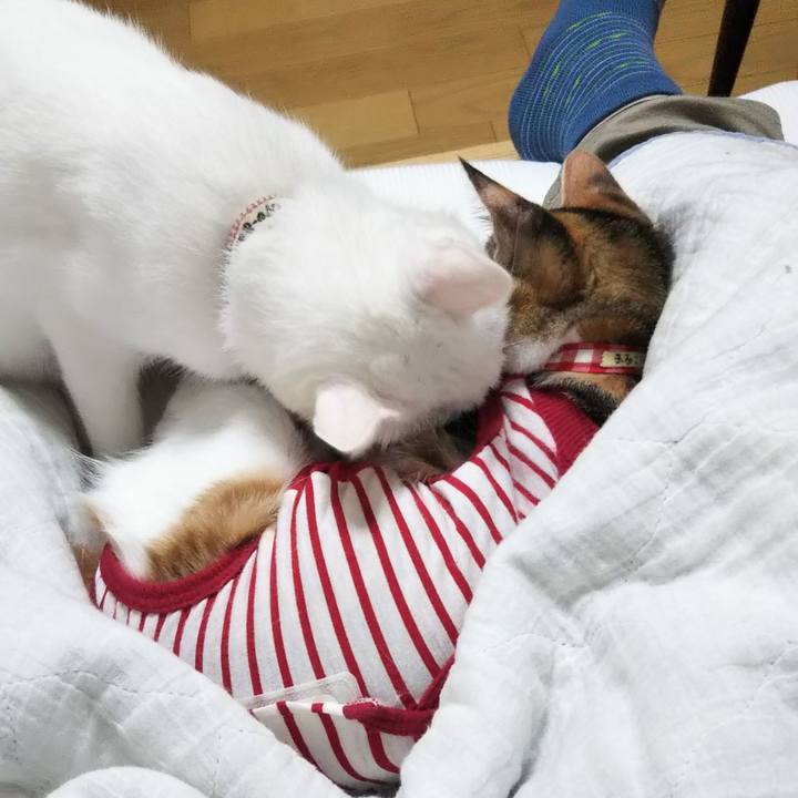 E536d368 024d 4701 9fdd d96c2beeb579 1634110851868