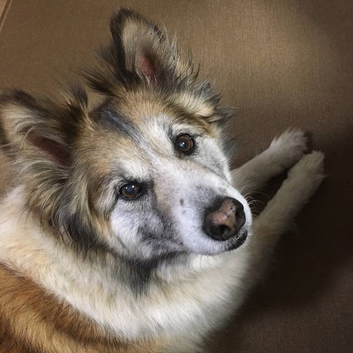 E5371c0b 276a 4295 962a 476e679ec65d 1528149686483