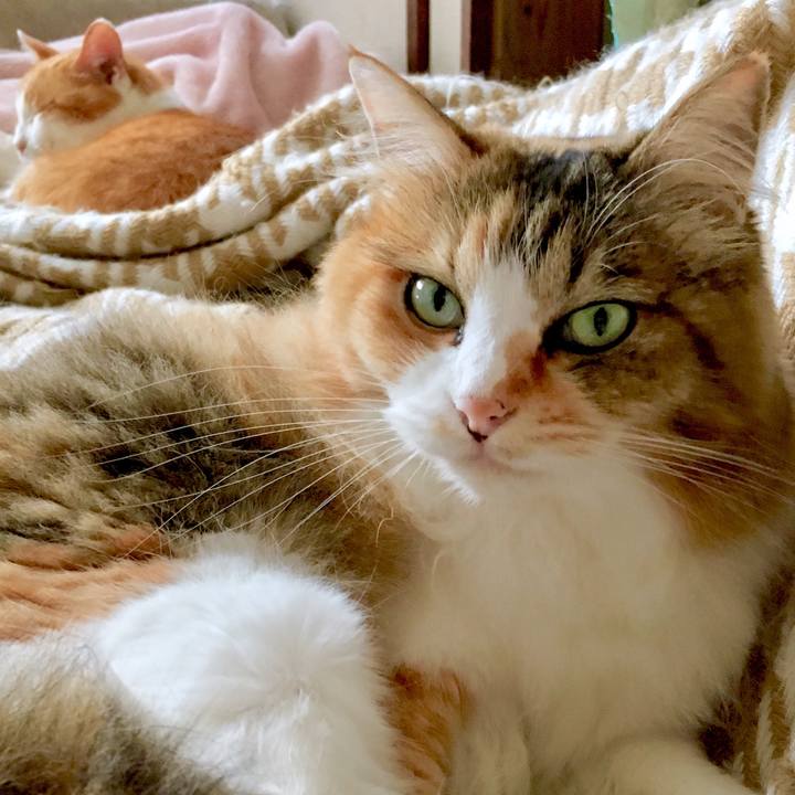 E5374bc4 7787 4b5a 9a3f 5a2971793005 1568379120409