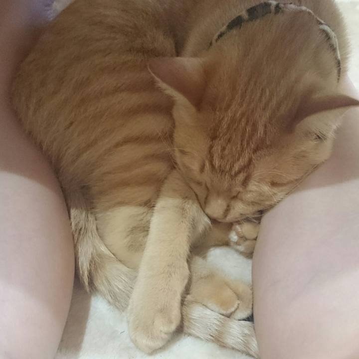 E537517e dbf8 4e43 af47 e92c65e5ad70 1556929859135