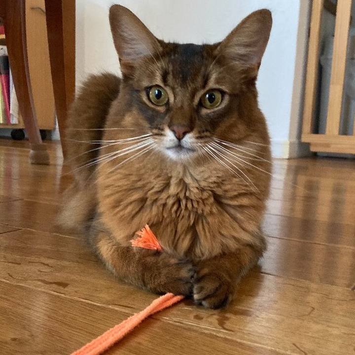 E5375961 6b30 4ed7 aaf4 452430880b63 1632558355438