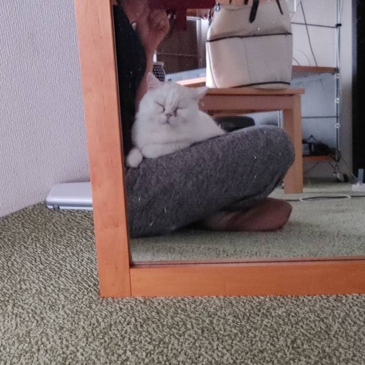 E5379440 a270 49a3 8c7f 04e6fef02c8c 1732055418265