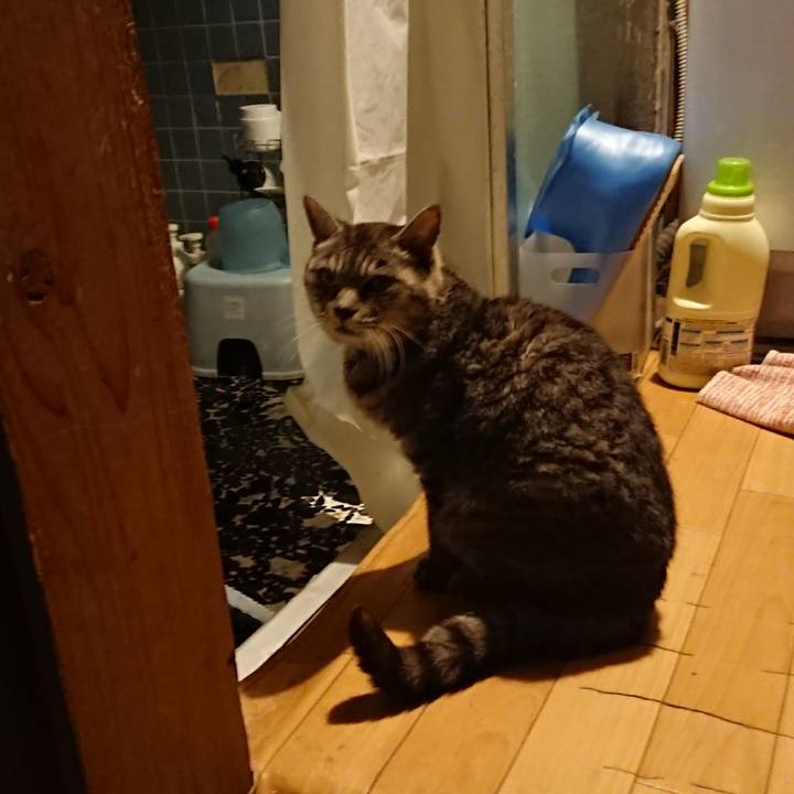 E537ebef 976a 47a2 ae17 17cab6e42ecd 1573030844678