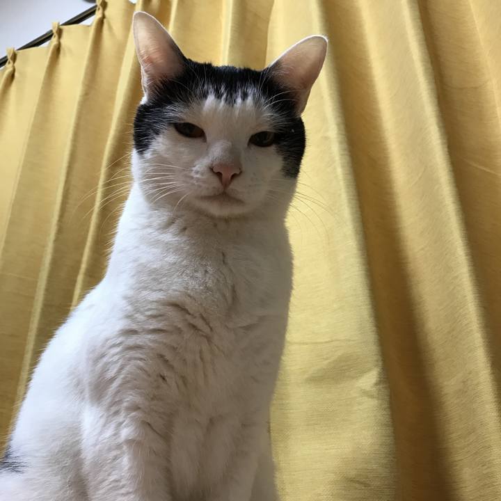 E5386275 7a6b 4aa5 aef8 12342e9dff0d 1527700125553