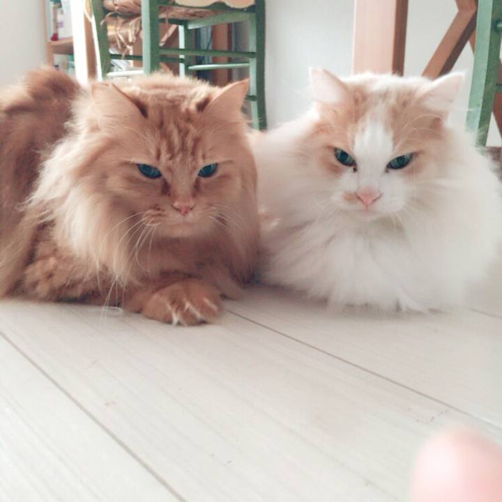 E5387698 0587 45e1 8237 a87f5a8386de 1509664577502