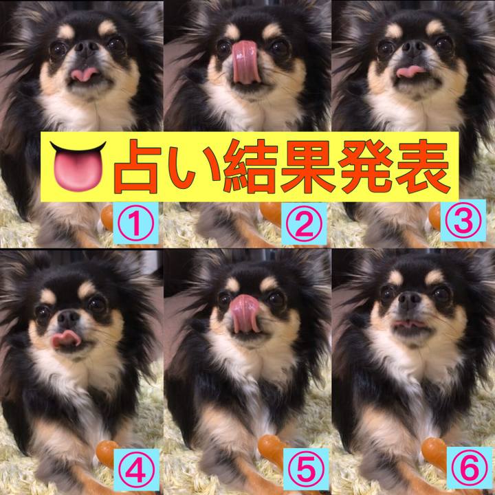 E538e049 2e2e 43ba 83f3 ac039b659927 1584652960879