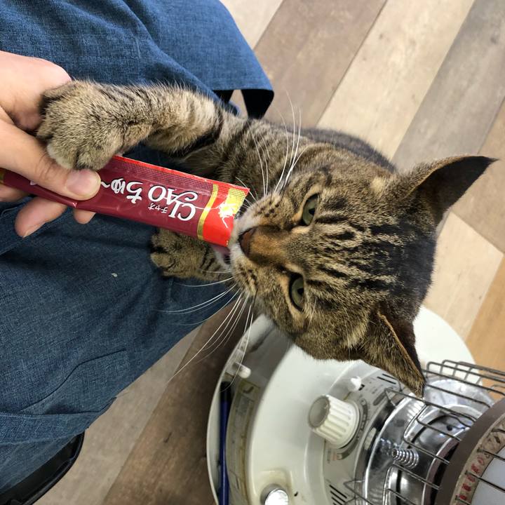 E538e9ff 6525 4216 b517 67691486be4c 1610601295179