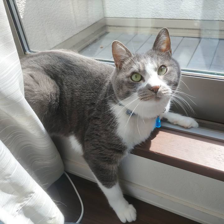 E5390927 5b16 4270 b299 c4e98effe7da 1679284705516