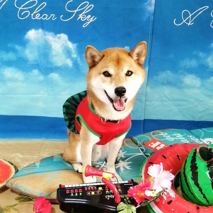 E539101c 0889 4972 a8a2 f0a251124495 1628661910594